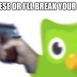 duolingo gun | JAPANESE OR I'LL BREAK YOUR KNEES | image tagged in duolingo gun | made w/ Imgflip meme maker