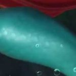 ariel's beautiful tail