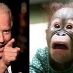 Bidet and monkey