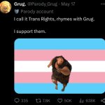 I call it trans rights meme
