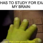 I'll get a good grade either way, right...? | ME: HAS TO STUDY FOR EXAMS
MY BRAIN: | image tagged in like that's ever gonna happen | made w/ Imgflip meme maker