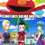elmo likes dragon ball girls | ELMO LIKES BULMA AND PALS | image tagged in dragon ball blank meme,elmo,sesame street,crossover,anime,dragon ball z | made w/ Imgflip meme maker