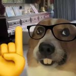 nerd