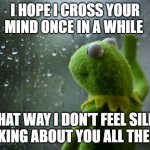 kermit window | I HOPE I CROSS YOUR MIND ONCE IN A WHILE; THAT WAY I DON'T FEEL SILLY THINKING ABOUT YOU ALL THE TIME | image tagged in kermit window | made w/ Imgflip meme maker