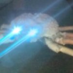 Laser crab