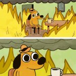 Dog in fire