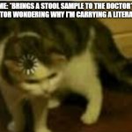 I may have misunderstood | ME: *BRINGS A STOOL SAMPLE TO THE DOCTOR* 
THE DOCTOR WONDERING WHY I'M CARRYING A LITERAL STOOL: | image tagged in buffering cat,memes,doctors | made w/ Imgflip meme maker
