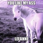 Horses ass | YOU LIKE MY ASS; LEEANNE | image tagged in horses ass | made w/ Imgflip meme maker