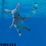 Bingus Nirvana meme