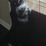 waiting for package