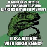 hot dog with baked beans | IF A DOG GOES OUTSIDE ON A 102-DEGREE DAY AND BURNS ITS FEET ON THE PAVEMENT; IT IS A HOT DOG
WITH BAKED BEANS? | image tagged in memes,philosoraptor | made w/ Imgflip meme maker