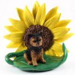 Yorkie Sunflower