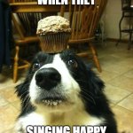 this feeling be like: | THIS FEELING WHEN THEY; SINGING HAPPY BIRTHDAY TO YOU | image tagged in muffin dog | made w/ Imgflip meme maker