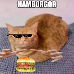 Hamborgor cat i think | HAMBORGOR | image tagged in hamborgor cat i think | made w/ Imgflip meme maker