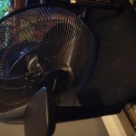 Sad fan
