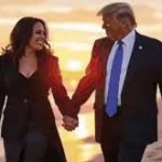 TRUMP HARRIS