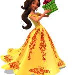 Navidad Elena Castillo Flores