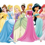 The Sixteen Whole Group of Princesses