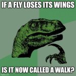 Dino meme the second | IF A FLY LOSES ITS WINGS; IS IT NOW CALLED A WALK? | image tagged in memes,philosoraptor | made w/ Imgflip meme maker