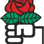 Fist and Rose