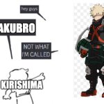 Hey Guys - NOT WHAT I'M CALLED | BAKUBRO; KIRISHIMA | image tagged in hey guys - not what i'm called,mha | made w/ Imgflip meme maker