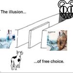 The illusion of OKC and Oknotok | image tagged in illusion of free choice | made w/ Imgflip meme maker