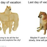 Buff Doge vs. Cheems | First day of vacation; Last day of vacation; I’m going to do all the fun activities and explore the city! Maybe if I pack really slowly, time will pause... | image tagged in memes,buff doge vs cheems | made w/ Imgflip meme maker