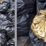 Trash but Gold
