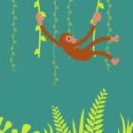monkey GIF Template