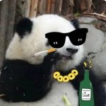 Panda work