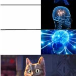 Expanding Brain, Bad Results