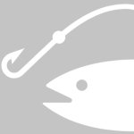 Fish & Hook