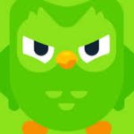 duolingo