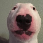answer the question | ME LOOKING AT MY MOM EXPECTING HER TO ANSWER THE DOCTOR FOR ME: | image tagged in walter,memes,doctor,relatable | made w/ Imgflip meme maker