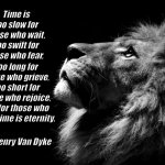 three things cannot be long hidden: the sun, the moon, and the truth | Time is too slow for those who wait, too swift for those who fear, too long for those who grieve, too short for those who rejoice, but for those who love, time is eternity. :Henry Van Dyke | image tagged in sad lion,sad,quotes,inspirational quotes | made w/ Imgflip meme maker
