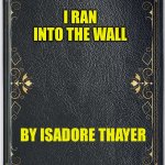 Book cover | I RAN INTO THE WALL; BY ISADORE THAYER | image tagged in book cover | made w/ Imgflip meme maker