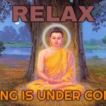 Nothing Is Under Control | RELAX; NOTHING IS UNDER CONTROL | image tagged in buddha buddhism buddhist,god,atheism,hinduism,buddhism,evolution | made w/ Imgflip meme maker
