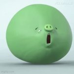 angry birds pig meme