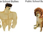 Buff Doge vs. Cheems | Private School Bullies; Public School Bullies | image tagged in memes,buff doge vs cheems | made w/ Imgflip meme maker