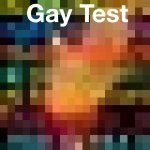 Gay test meme