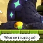 What am I looking at?