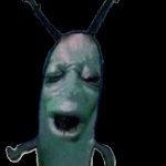 Plankton