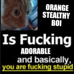 This ugly son of a meme | ORANGE 
STEALTHY 
BOI; ADORABLE | image tagged in this ugly son of a meme | made w/ Imgflip meme maker