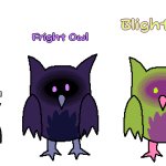 Night Owl and its variants