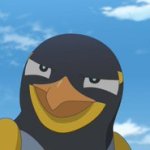 smug bird