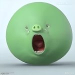 angry birds pig ai video GIF Template