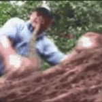 Snake biting GIF Template