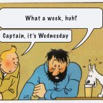 What a week