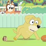 Bluey Lucky's dad done my hammy