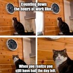 Checking hours at work | Counting down the hours at work like…; When you realize you still have half the day left. | image tagged in cat clock its time | made w/ Imgflip meme maker